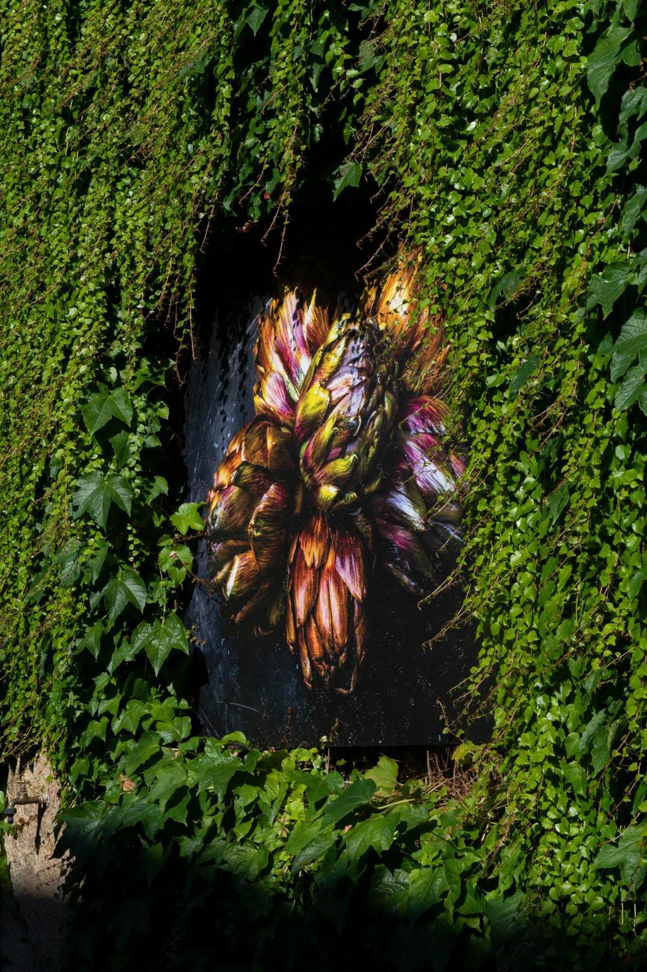 Locanda Ca Dei Santi Induno Olona Luaran gambar